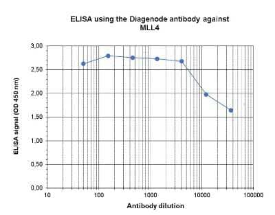 ELISA: KMT2D Antibody [NBP3-18671]
